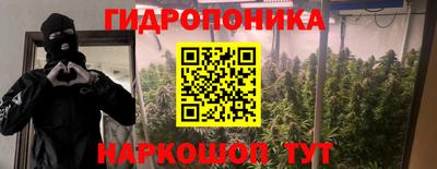 эйфоретик Лесосибирск
