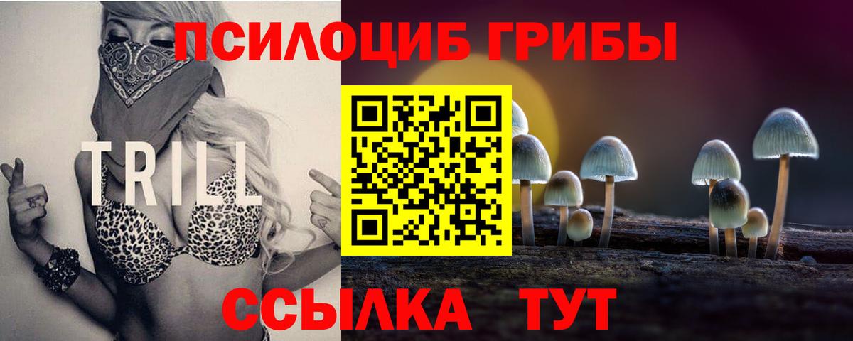 Галлюциногенные грибы MAGIC MUSHROOMS Бирск